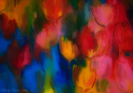 Tulip Abstract
