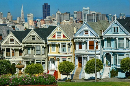 Painted Ladies