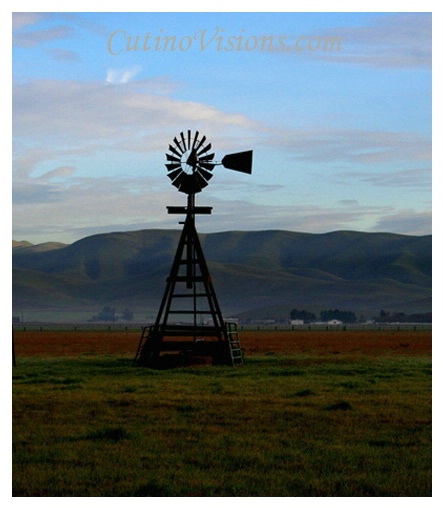 ~ Vasco Windmill ~