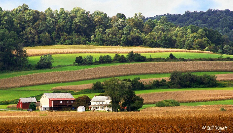 Eastern PA Farm Land