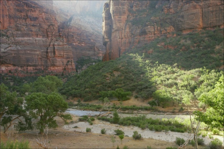 Zion Light