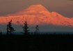 Alaska's Suns...