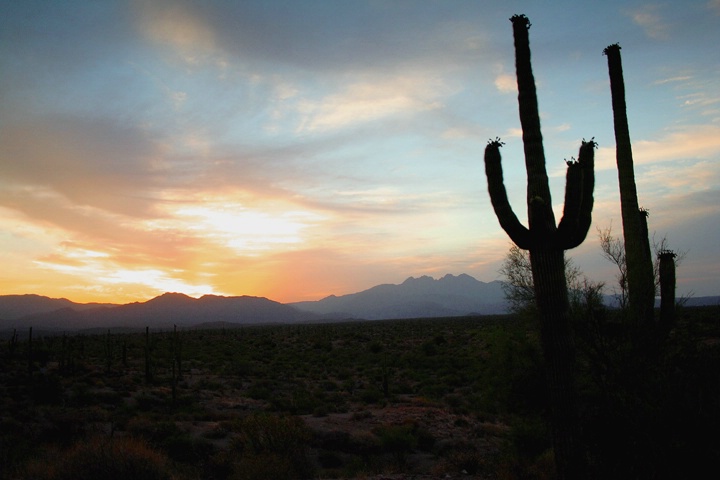 Orange Desert Sky