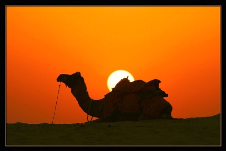 Rajasthan Sunset