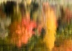 Fall Reflections
