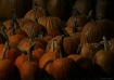 Moonlight Pumpkin...