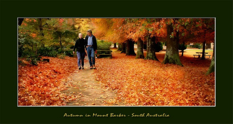 A Mount Barker Autumn