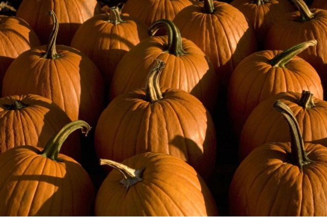Farmstand pumpkins