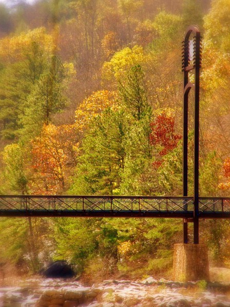 Fall on the Ocoee - ID: 2811254 © Kay McDaniel