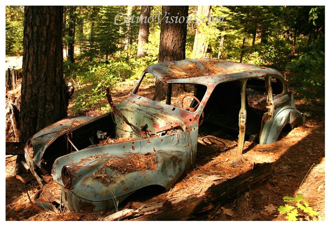~ Grandpas Wrecked Car No Joke! ~ - ID: 2812651 © Paul Cutino