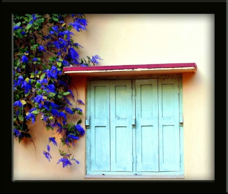 Green window.