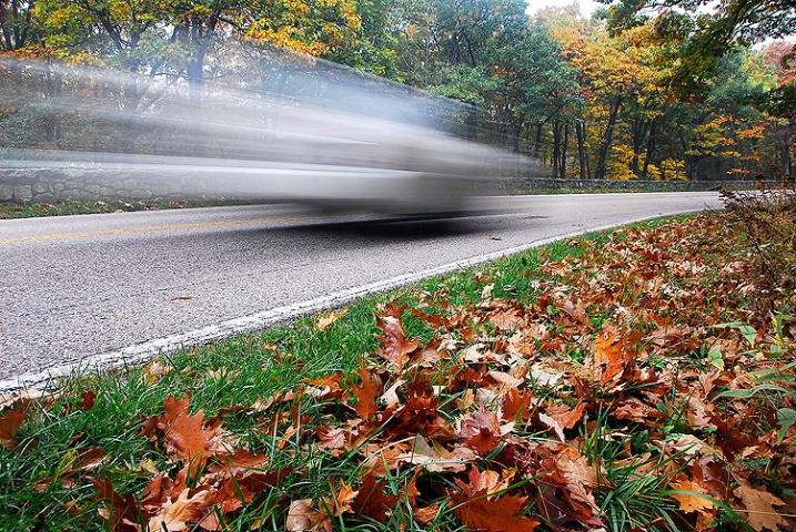 Leaf Peeping Bypasser