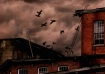 Flight of the Cor...
