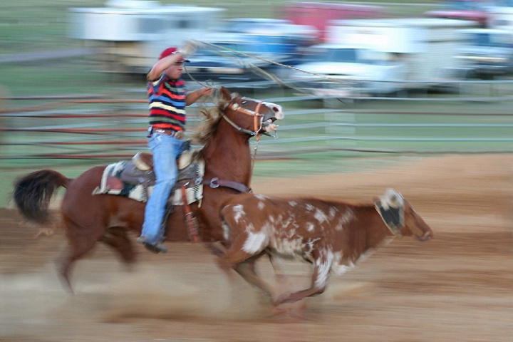 Rope'em cowboy