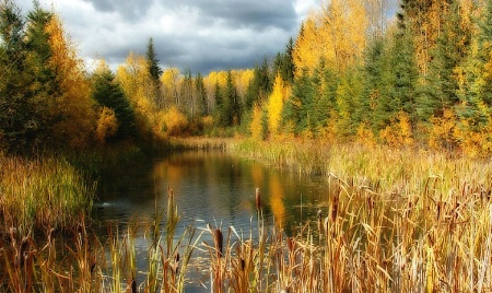 Fall Pond 2