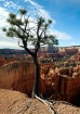 Bryce Canyon 2