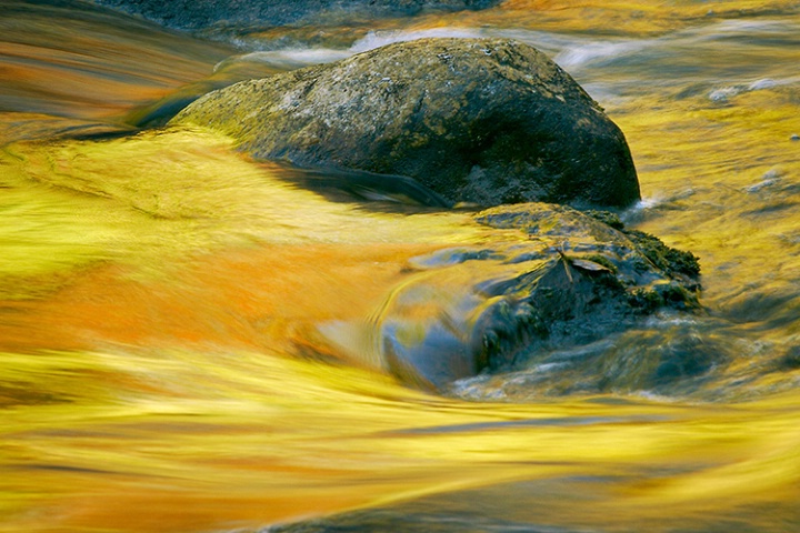 Golden Flow