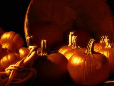 the golden pumpkins