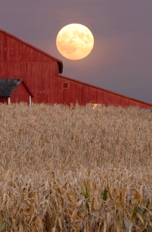 Harvest Moon