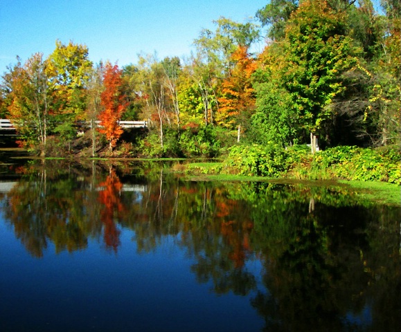 Autumn at the Pond