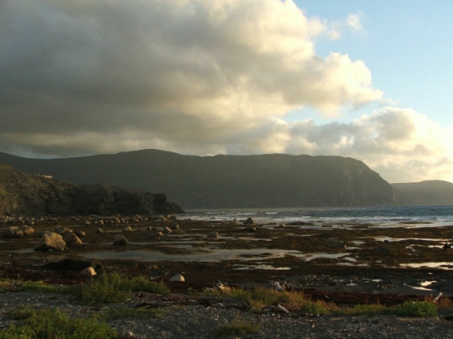 Low Tide in Norris Point