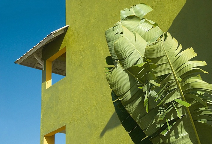 Hotel and Palm Leaves
