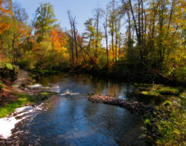 Autumn at the Creek