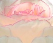 Rose Petals II