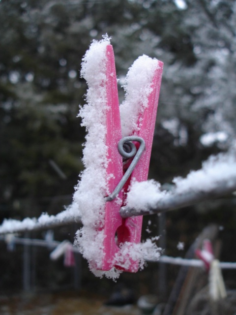 Snowy clothespin