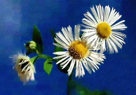 Painting Of A Wildflower