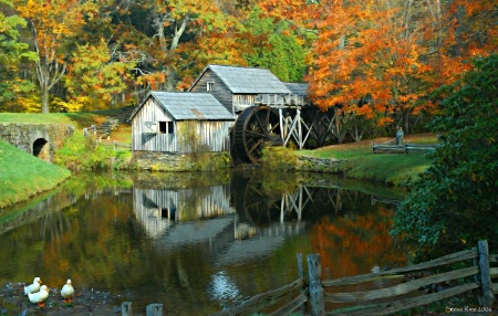 "Fall at Mabry Mill"