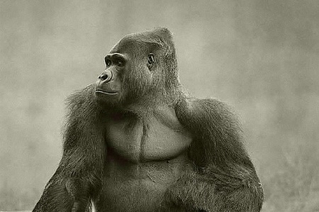 Strong Profile