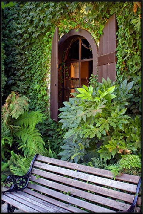 Parkbench at the winery