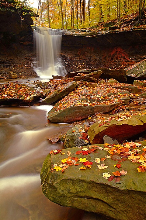 Blue Hen Falls