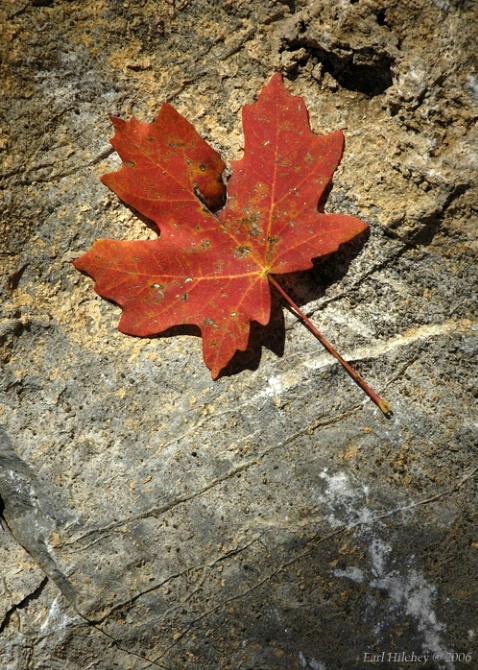 Crimson and stone - ID: 2881751 © Earl Hilchey