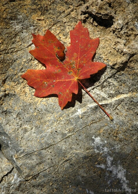 Crimson and stone