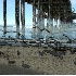 © Rita Hill PhotoID # 2882268: Beach gathering