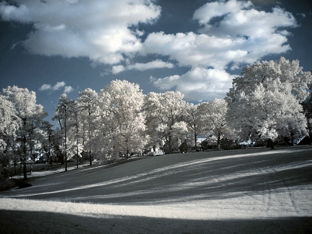 Long Shadows