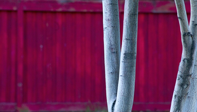 Wood - 8