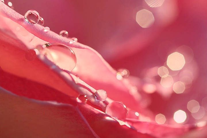 Dancing Light
