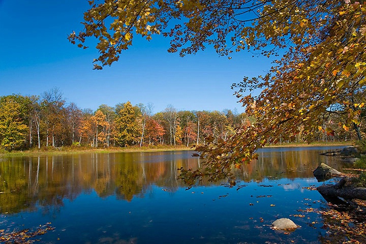 SawMill Lake, Sussex, NJ