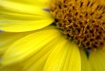 A Bright Day