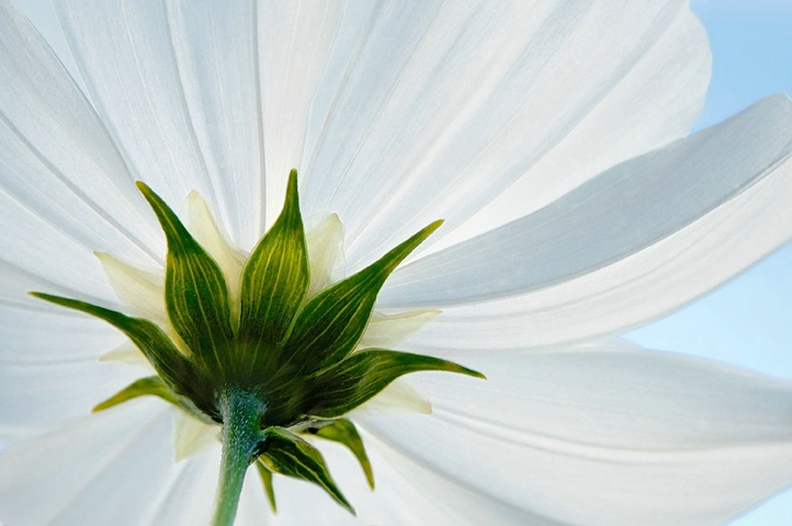 From Below