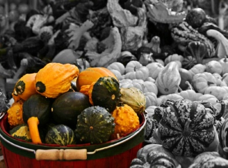 Colorful squashes - using desaturation brush