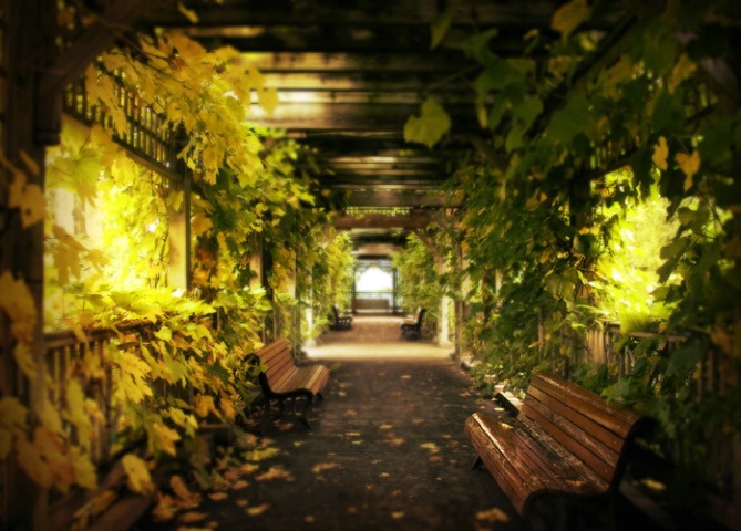 Dream corridor