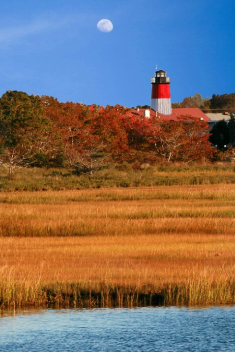 Lighthouse over marsh, Cape Cod - ID: 2905032 © Bob Peterson