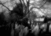Old Graveyard