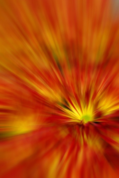 Mums on the Move