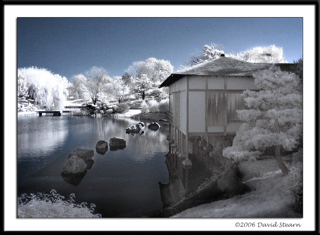 Japanese Tea Garden Infrared