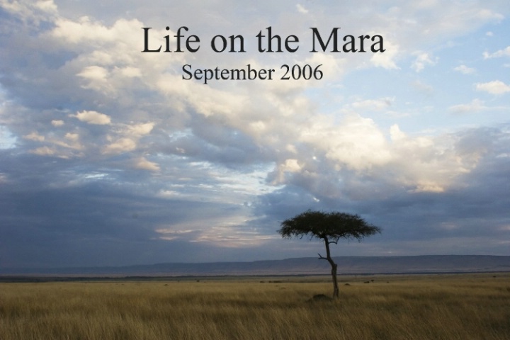 Life on the Mara 